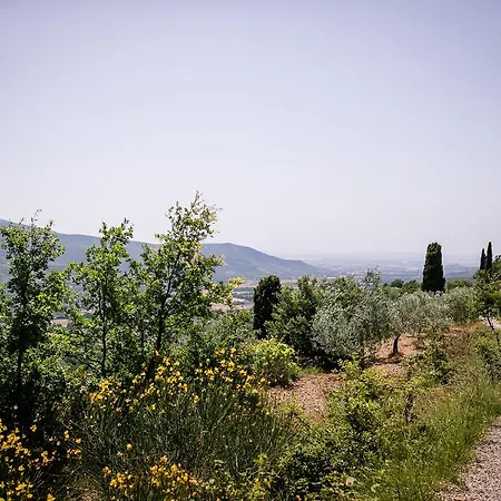 Borgo Al Teto Il Gelso 公寓 卡斯蒂里昂·菲奥伦蒂