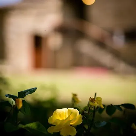 Borgo Al Teto Il Gelso * 卡斯蒂里昂·菲奥伦蒂