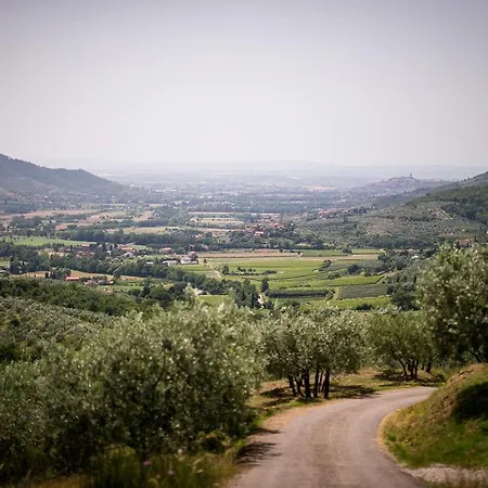 Borgo Al Teto Il Gelso Διαμέρισμα Καστιλλιόν Φιορεντίνο