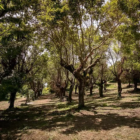 Διαμέρισμα Borgo Al Teto Il Gelso *