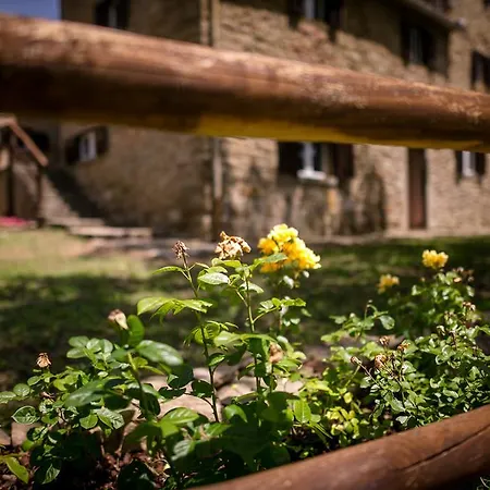 Borgo Al Teto Il Gelso * Καστιλλιόν Φιορεντίνο