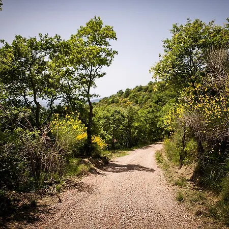 Διαμέρισμα Borgo Al Teto Il Gelso